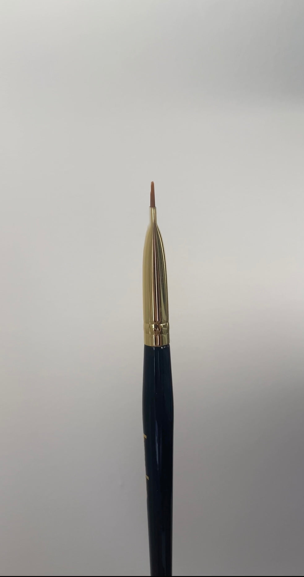 The Browdays Collective - Baseline Angled Brush